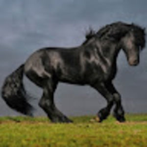 Meet your Posher, Ellen read